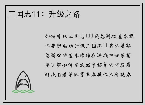 三国志11：升级之路
